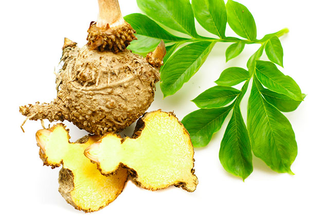 COLUMNA-BELLEZA-KONJAC