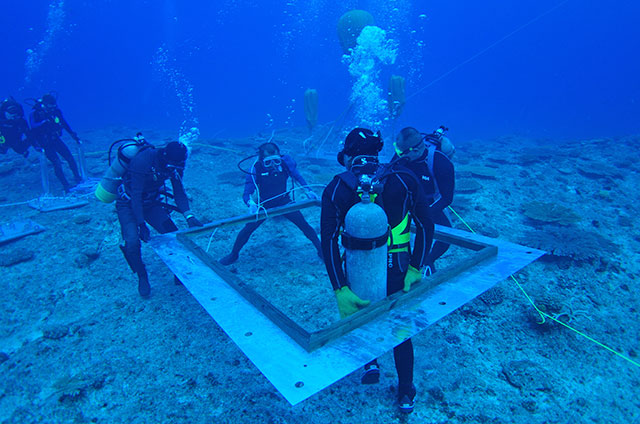 4.--Científicos-del-OIST-instalando-partes-del-Observatorio-Oceánico-Costero-de-Okinawa