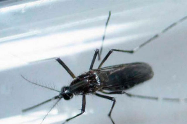 315163_grande_IrW38jU3