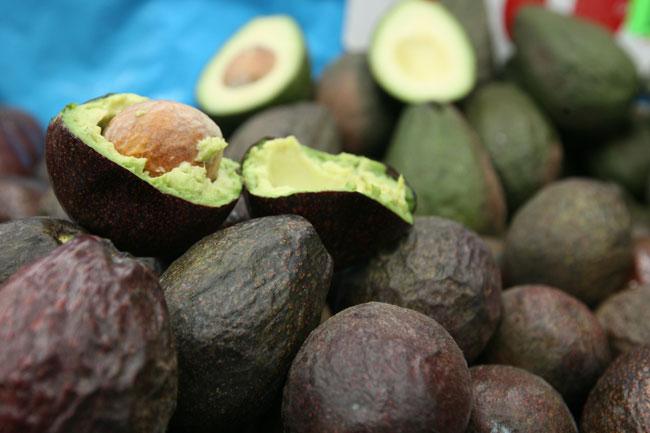 aguacate04-040716_ee